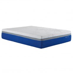 Thebedroomstore.com Nautica Home 14" Cool Memory Foam Mattress Memory Foam Mattresses