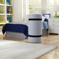 Thebedroomstore.com Simmons® BeautySleep® Siesta Memory Foam Guest Bed