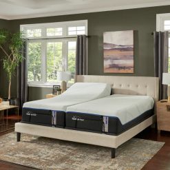 Thebedroomstore.com Tempurpedic®13