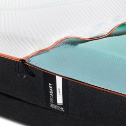 Thebedroomstore.com Tempur-Pedic® Tempurpedic® 12