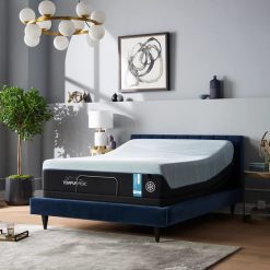 Thebedroomstore.com Tempurpedic® 13
