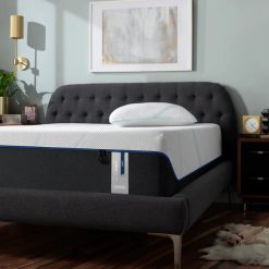 Thebedroomstore.com Tempurpedic®13