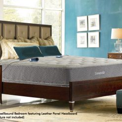 Thebedroomstore.com Thomasville® Gemini 6-chamber Air Bed