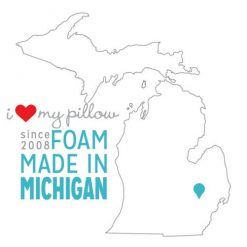 Thebedroomstore.com I Love My Pillow Down And Memory Foam Pillows