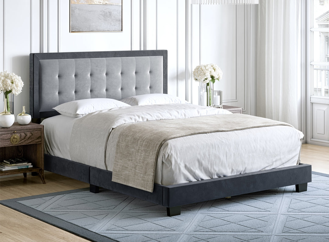 Thebedroomstore.com Pisa Velour Upholstered Platform Bed