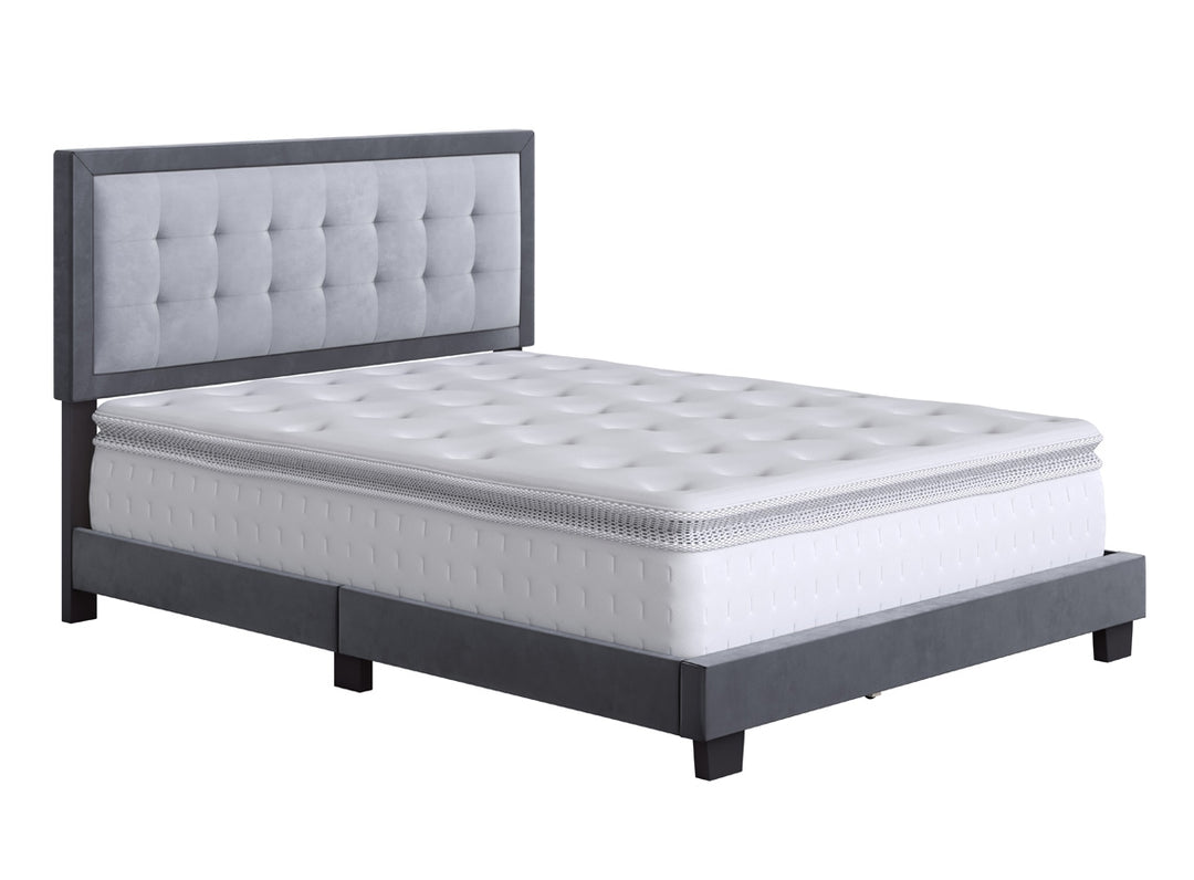 Thebedroomstore.com Pisa Velour Upholstered Platform Bed
